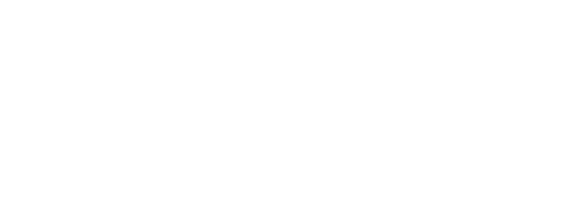 The-Hague-University-of-Applied-Sciences-logo-white